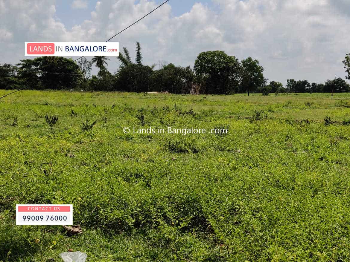 1-acre-land-for-sale-in-kanakapura-road-just-12-km-from-sathanur-ideal