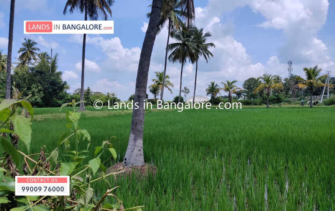 5 Acres Agricultural Land for sale in Kanakapura (3)