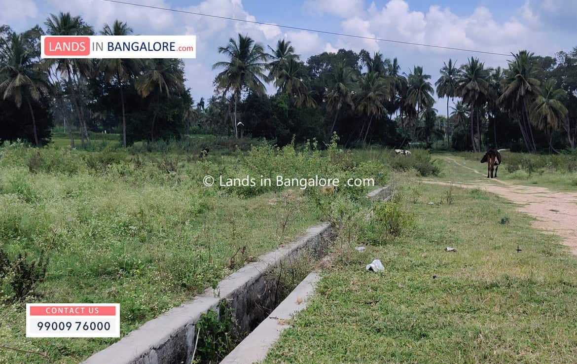 Agricultural land for sale in Somanahalli Kanakapura