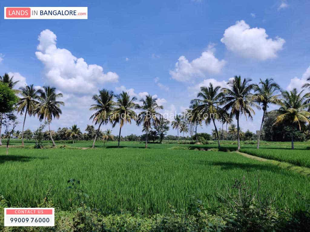 4 Acres Agricultural land for sale in Kanakapura road good location and suitable for Farm house