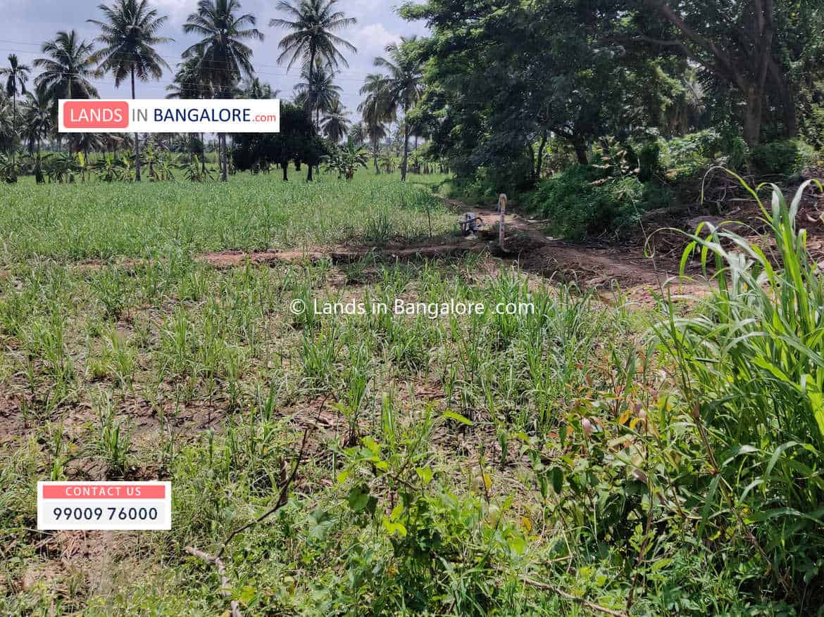 3 Acres Agricultural Land for sale in Harohalli Kanakapura road prime ...