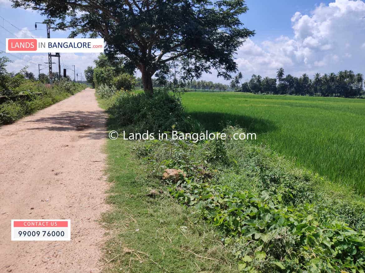 3 Acres Agricultural Land for sale in Kanakapura 10 km towards sangama