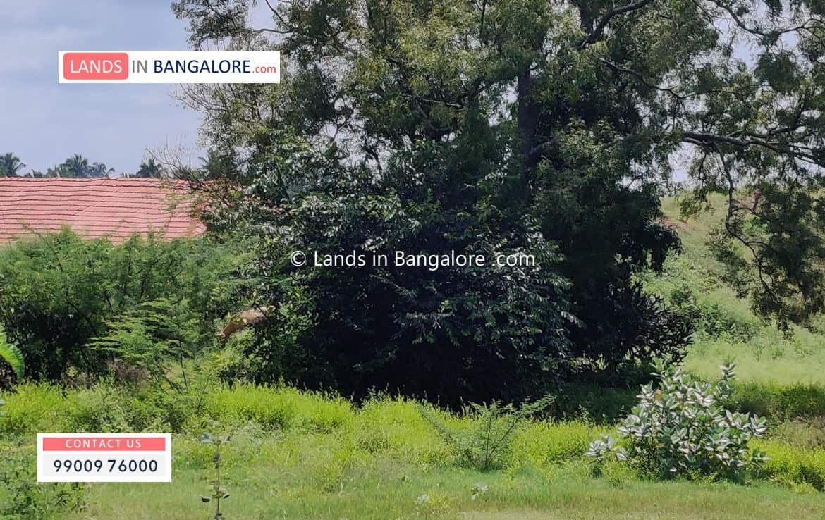 Land for sale in Harohalli Kanakapura road